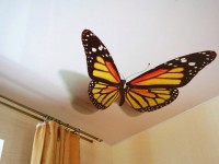 IMG_3566.JPG