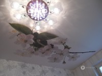 big-fotop-36.jpg
