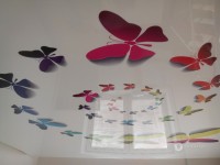 big-fotop-59.jpg